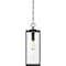 Quoizel Westover 1-Light Earth Black Outdoor Hanging Lantern WVR1907EK - alternate 8